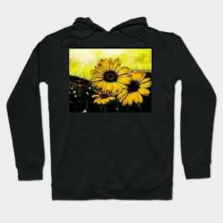 Sunflowers - Abstract Hoodie